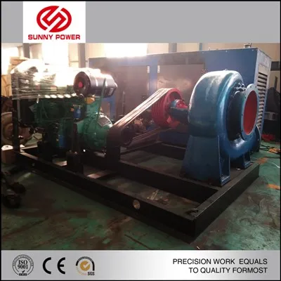 Vattenpump för översvämning